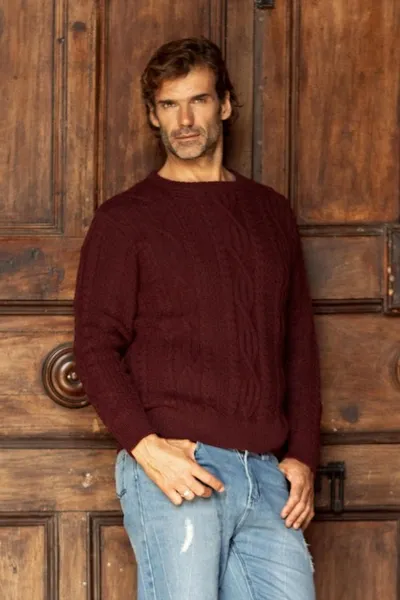 Alternate image for Dark Red Mens 100 Alpaca  Sweater Field and Forest